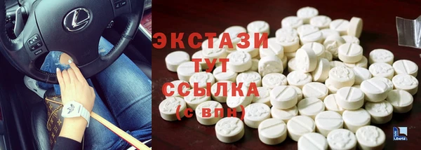 сатива Лабытнанги