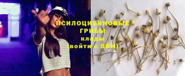 гашик Ладушкин
