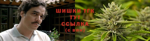 гашик Ладушкин