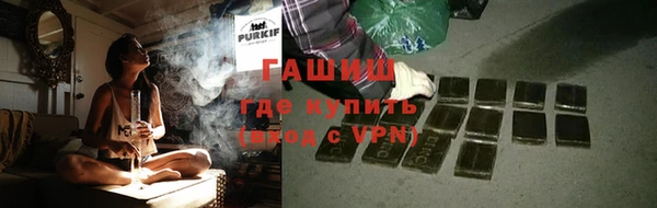 гашик Ладушкин
