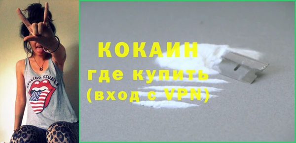 гашик Ладушкин