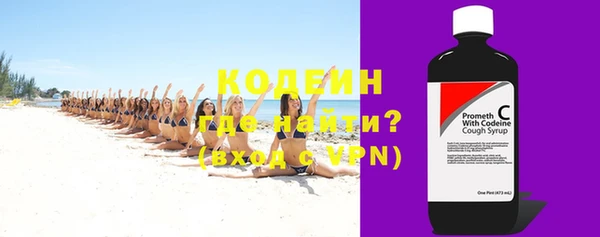 сатива Лабытнанги