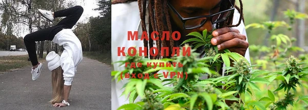 гашик Ладушкин
