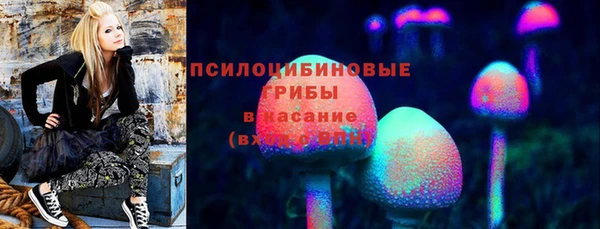 гашик Ладушкин