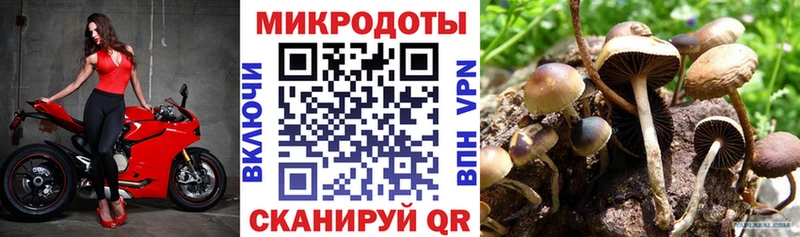 Галлюциногенные грибы Magic Shrooms  Ленск 