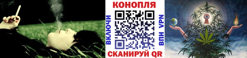 мега ссылка  Ленск  Бошки марихуана семена 